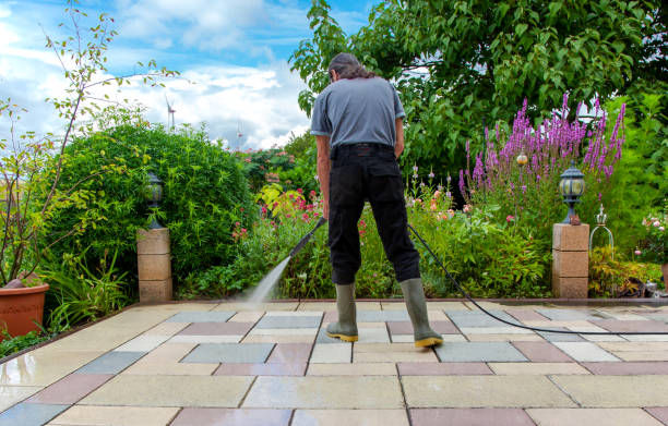 Best Gutter Cleaning and Brightening in Applewood, CO